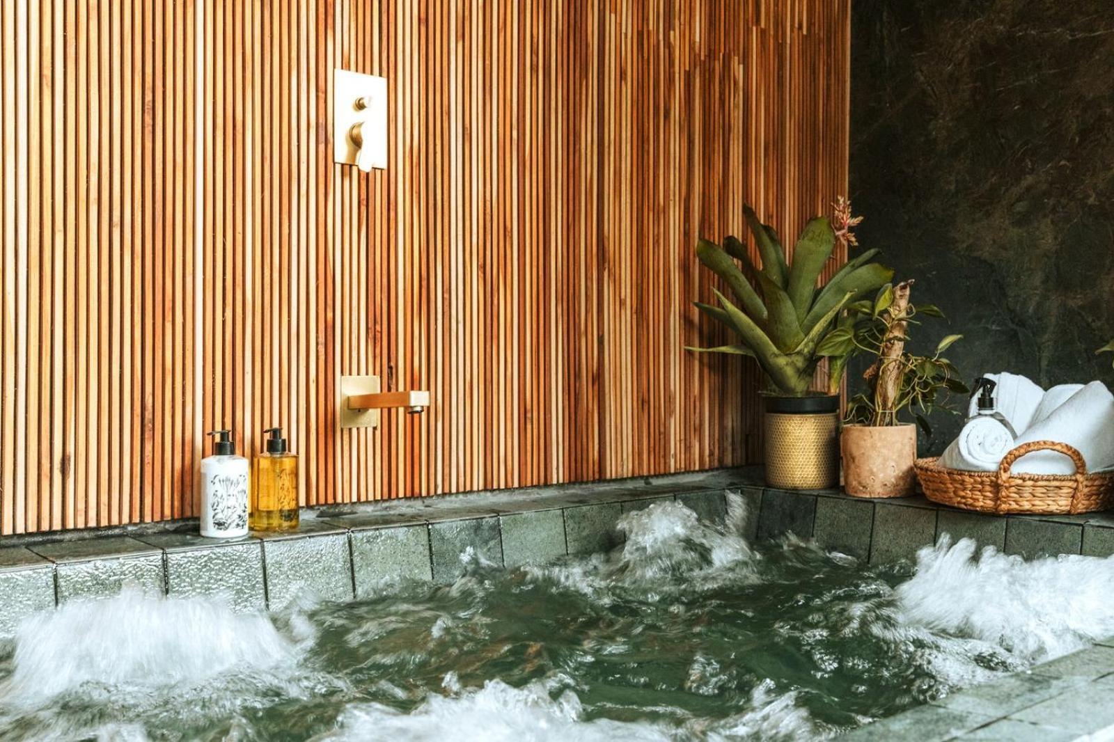 Selvario 36 Hotel Меделин Екстериор снимка